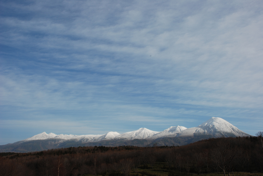 d0168417_5203240.jpg