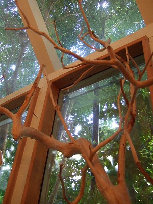 f0227218_21262626.jpg