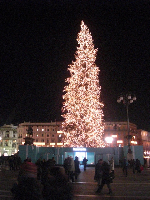 f0173324_0313499.jpg