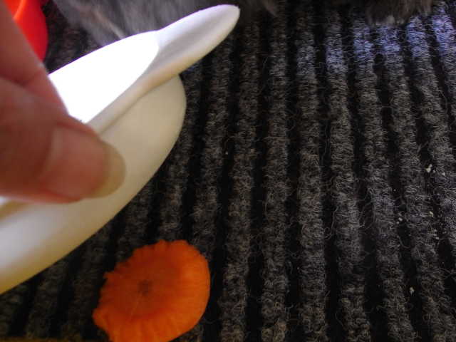 e0042626_17866.jpg