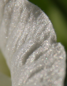 d0042827_1848059.jpg