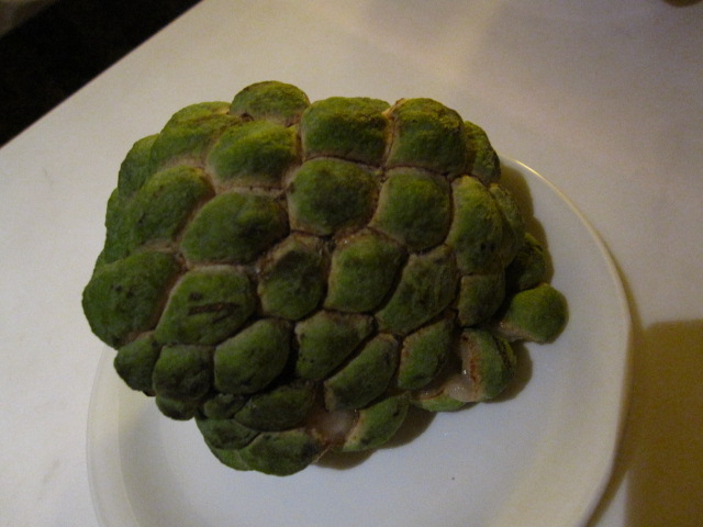 c0214628_16303581.jpg