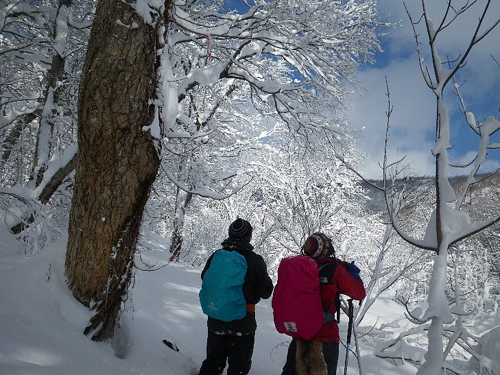 f0118332_22521231.jpg