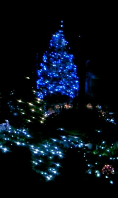 f0032434_20572535.jpg