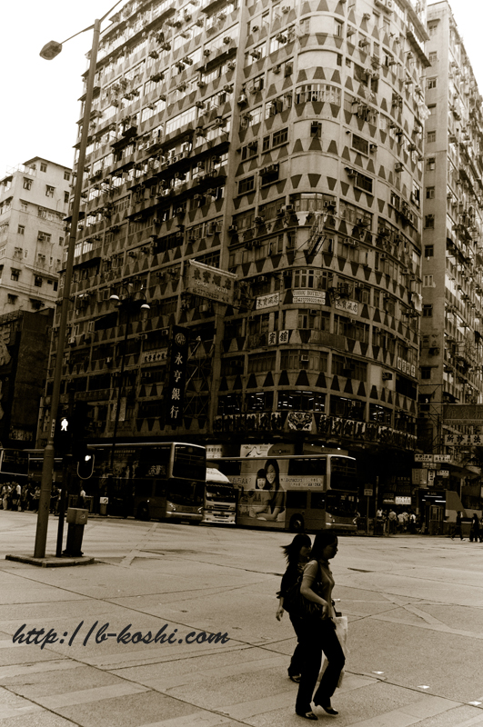 c0226438_11583688.jpg
