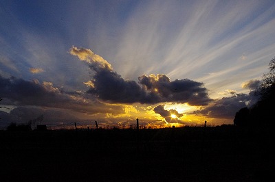 d0092439_4552727.jpg