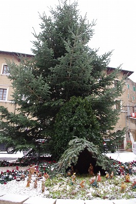d0092439_45543.jpg