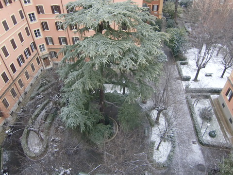 c0206352_6105592.jpg