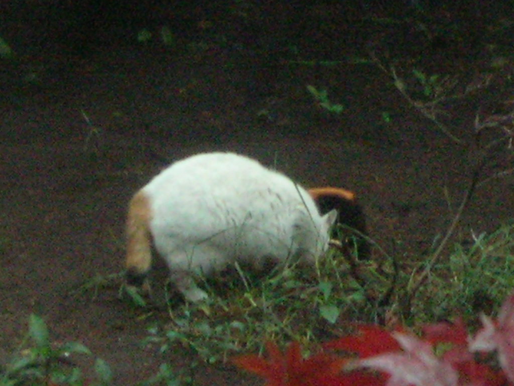 c0228356_2020829.jpg