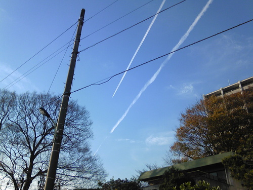 e0071165_17434571.jpg