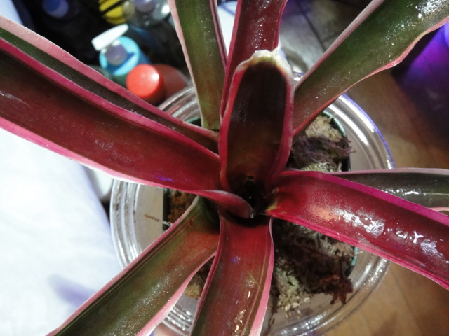 c0225669_111494.jpg