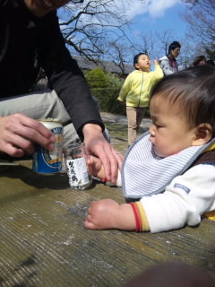 整理