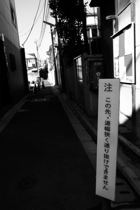 e0051186_217149.jpg