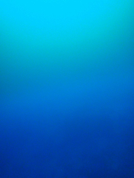 c0018489_16365047.jpg