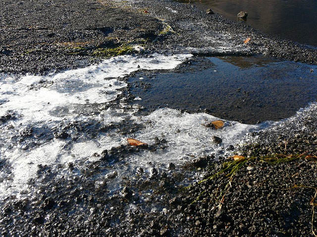 e0202393_17344990.jpg