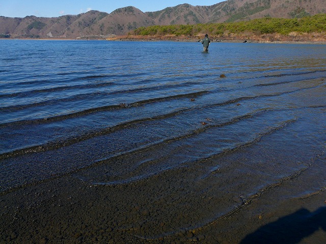 e0202393_17354366.jpg