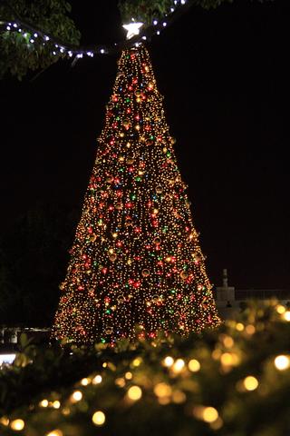 e0100007_19351995.jpg