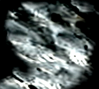 e0103408_11133986.gif