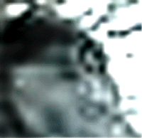 e0103408_11135497.gif