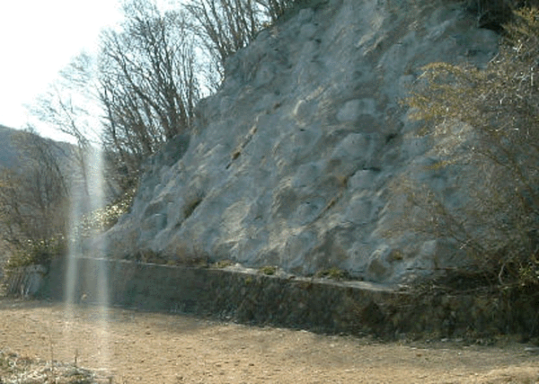 e0103408_11143199.gif