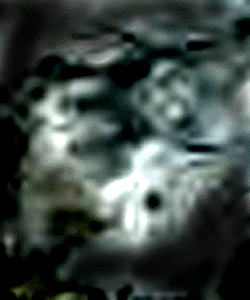 e0103408_1122656.gif