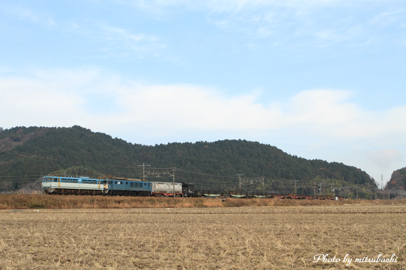 f0204321_2015158.jpg