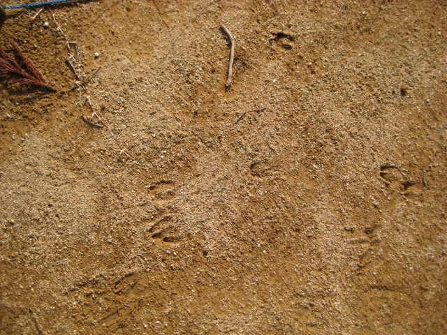d0147727_20113913.jpg