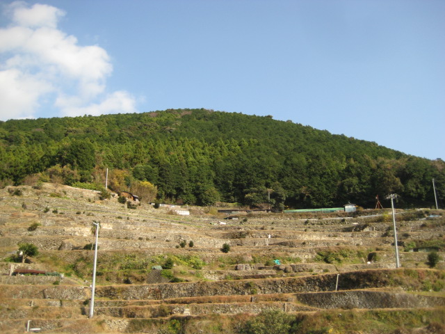d0147727_2051045.jpg