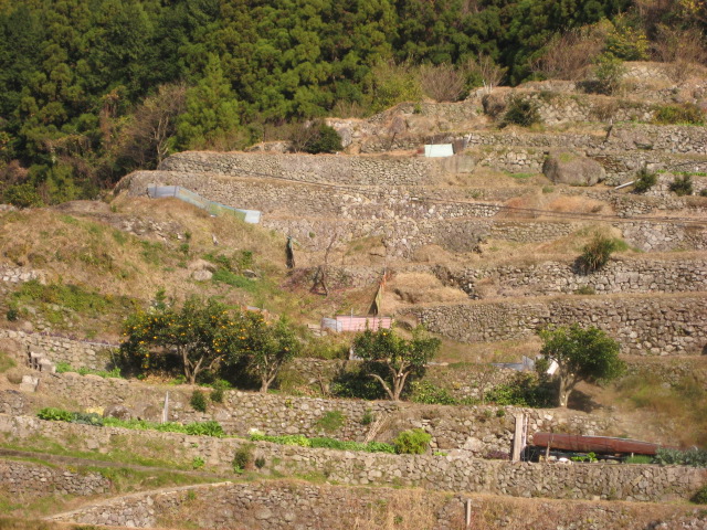 d0147727_205346.jpg