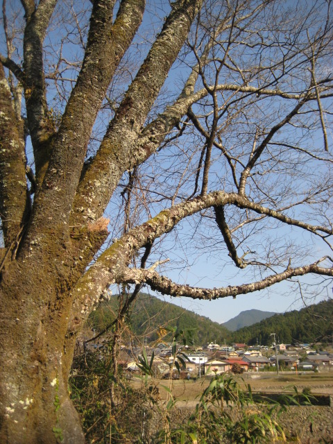 d0147727_2071442.jpg