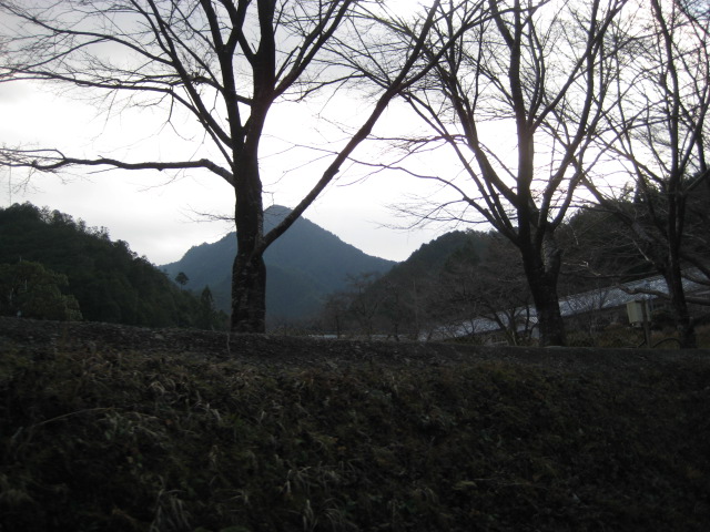 d0147727_2073149.jpg