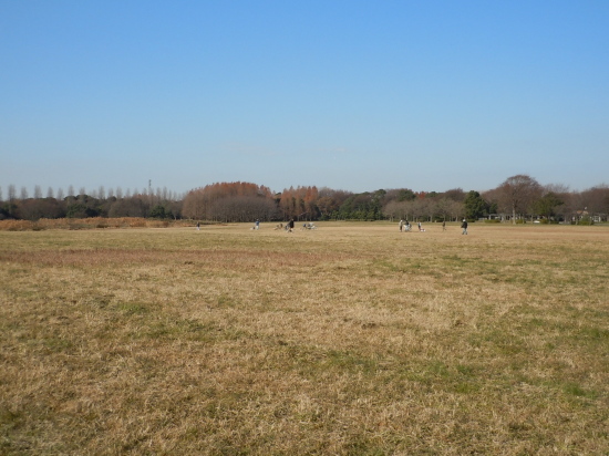 c0117831_2113758.jpg