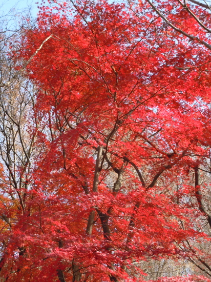 c0117831_213171.jpg