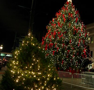 f0200433_23125018.jpg