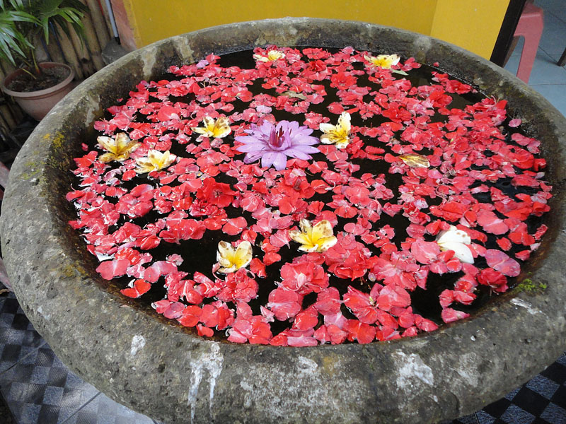 b0042837_5202688.jpg