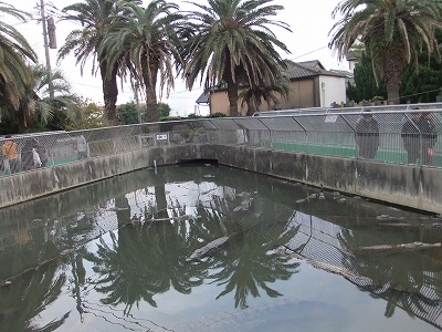 e0173645_1201769.jpg