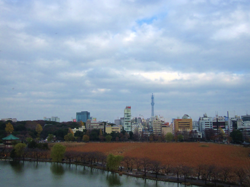 b0097747_2216272.jpg