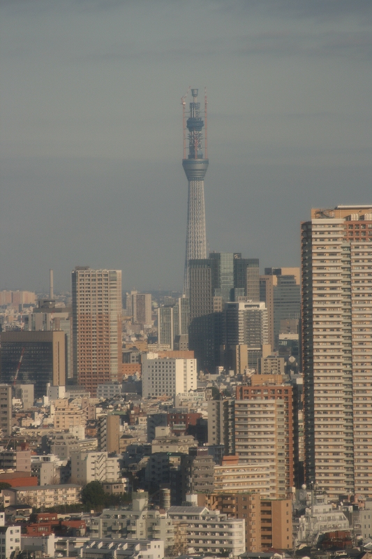 b0029350_2015513.jpg
