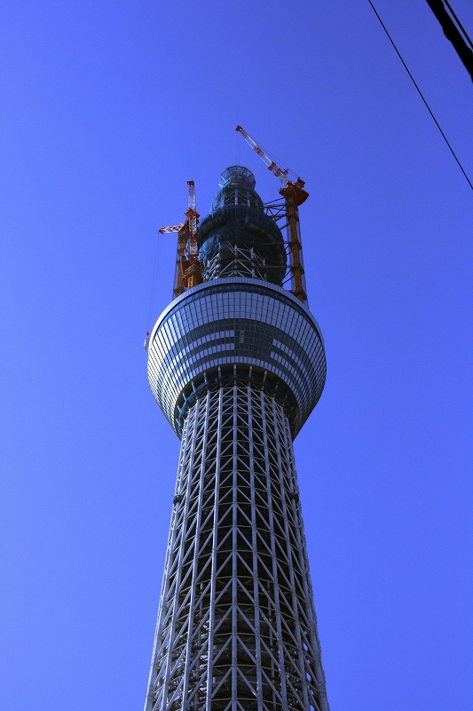 b0029350_2032750.jpg
