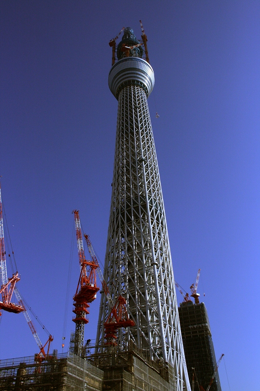b0029350_2034844.jpg