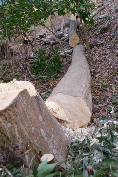 f0043750_22231914.jpg