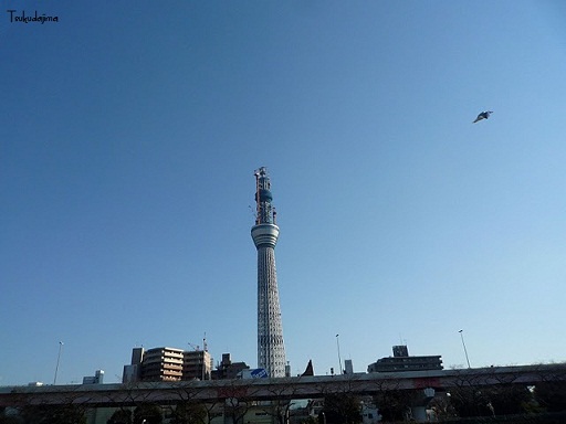 b0029256_11435392.jpg