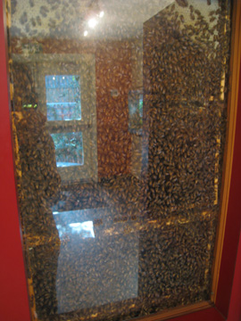 f0068883_15513215.jpg