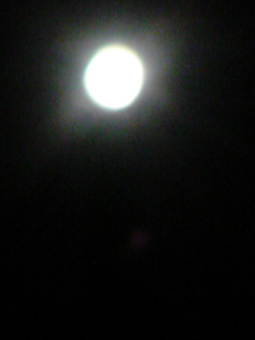 e0078187_1123584.jpg