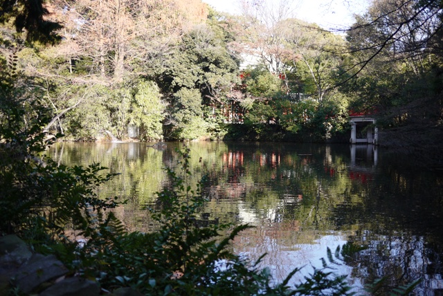 a0127090_10213278.jpg
