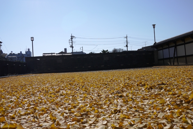 a0127090_21353624.jpg