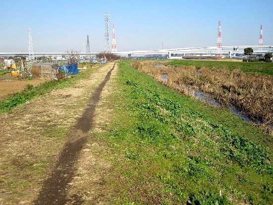 e0143690_10422768.jpg