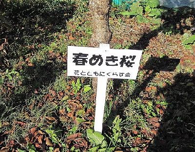 e0143690_1151383.jpg