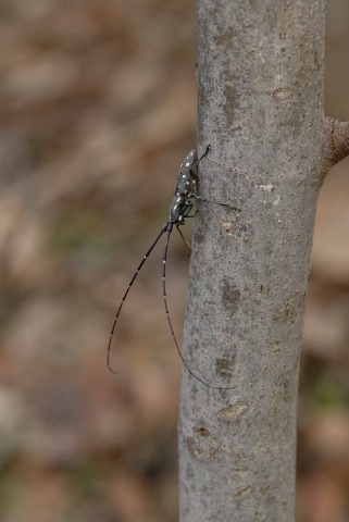 b0194593_2244426.jpg