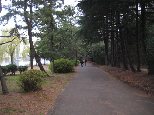 b0097200_23575859.jpg